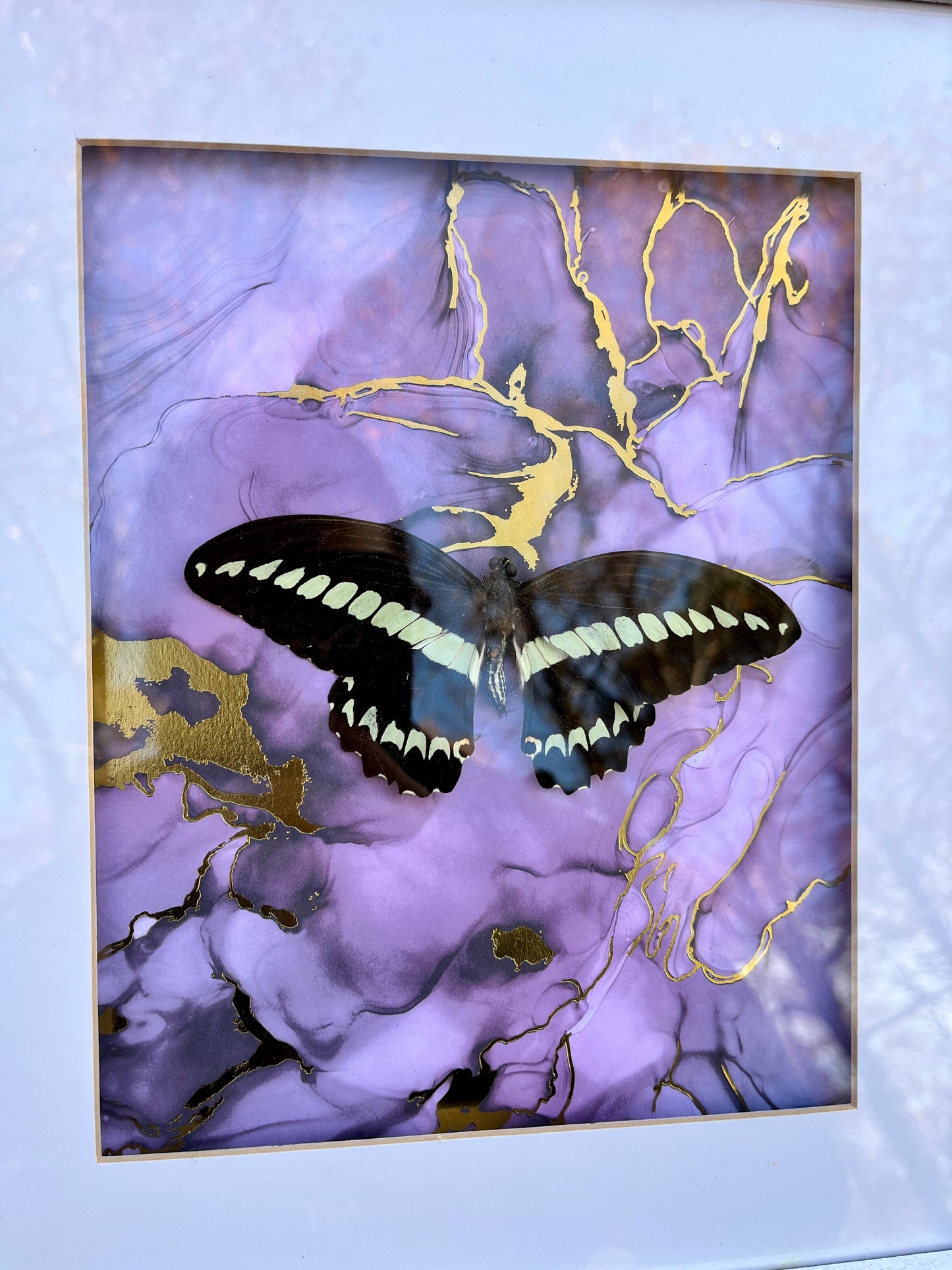Large Butterfly Frame