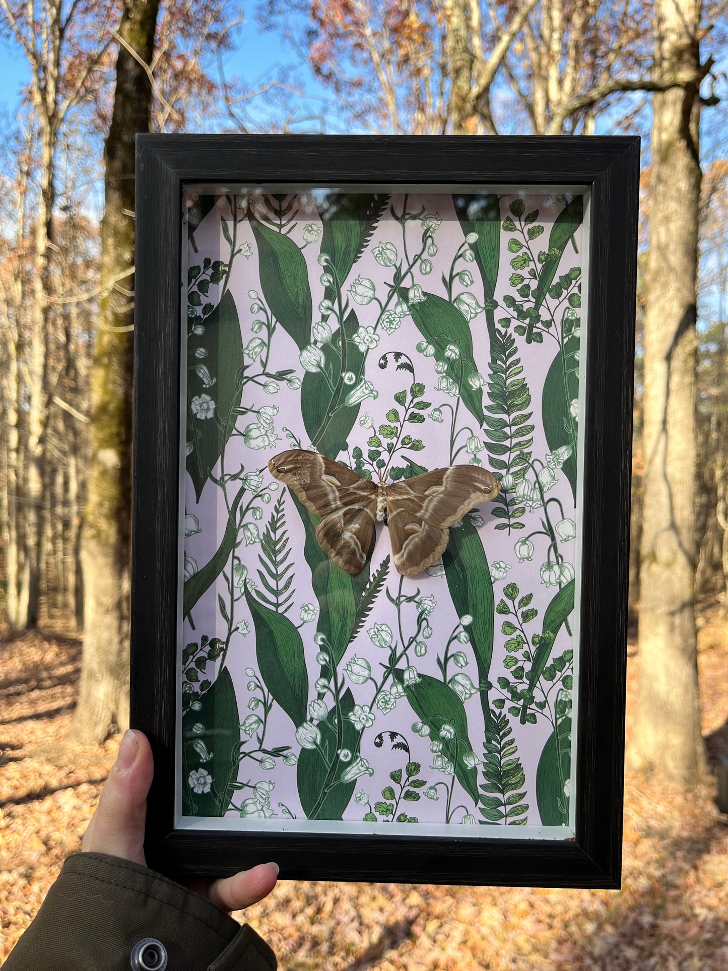 Silk Moth on Lilly of the Valley Frame