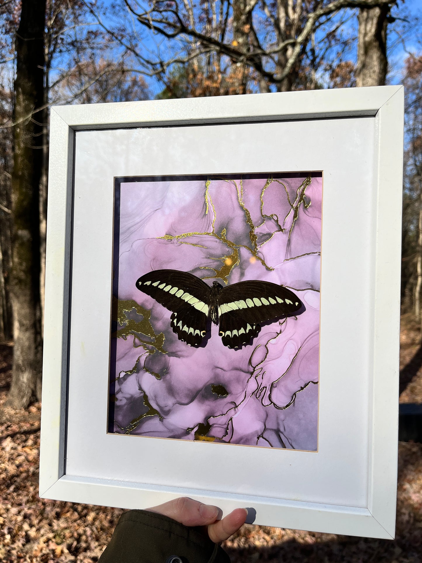Large Butterfly Frame