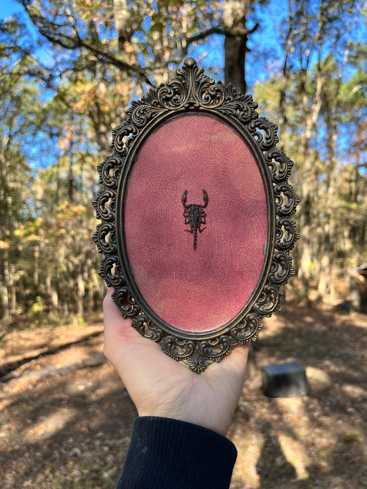 Black Scorpion in Vintage Frame - Red