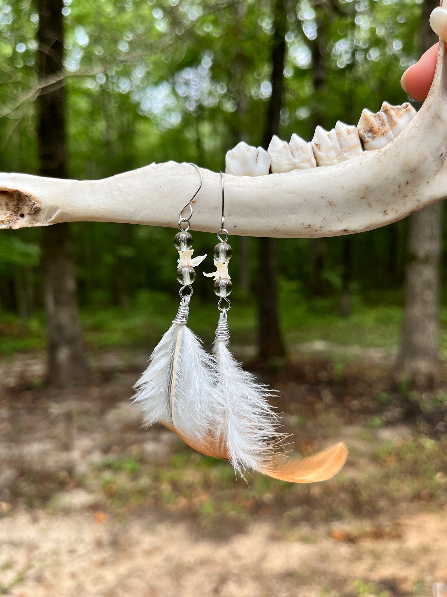 Chicken Feather & Snake Vertebra Earrings