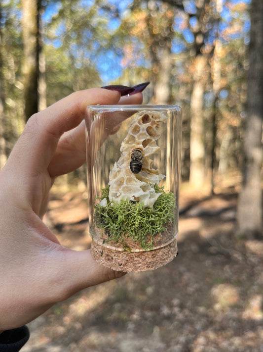 Honey Bee Glass Vial