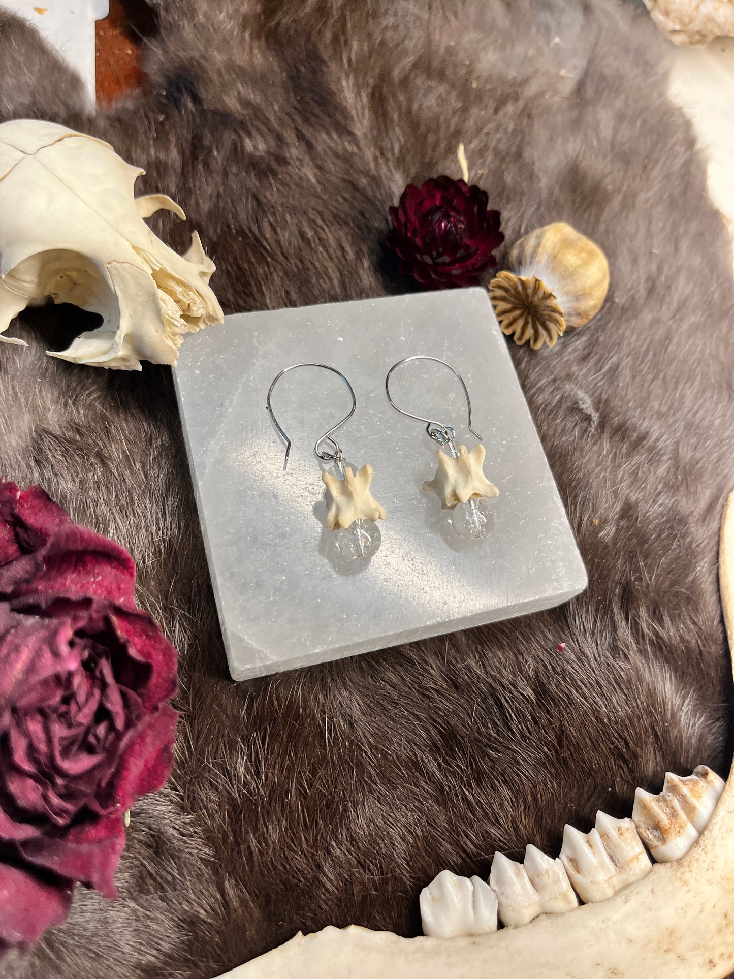 Crystalline Cat Vertebra Earrings