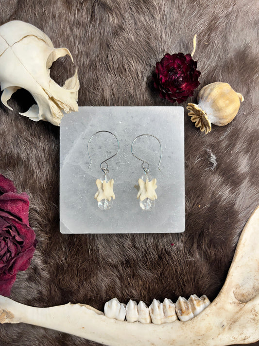 Crystalline Cat Vertebra Earrings