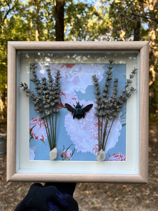 Blue Carpenter Bee & Lavender Frame