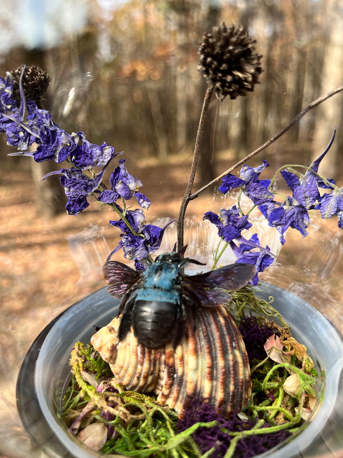 Blue Bee Crystal Ball Dome