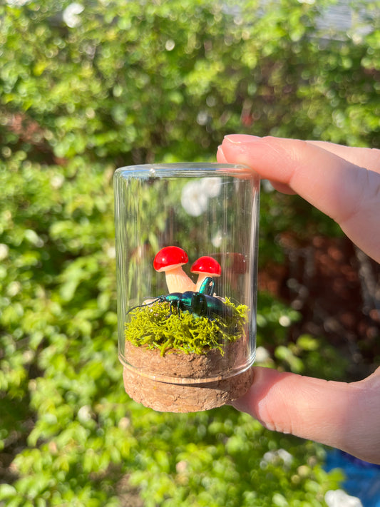 Insect Taxidermy: Green Frog Beetle & Mushroom