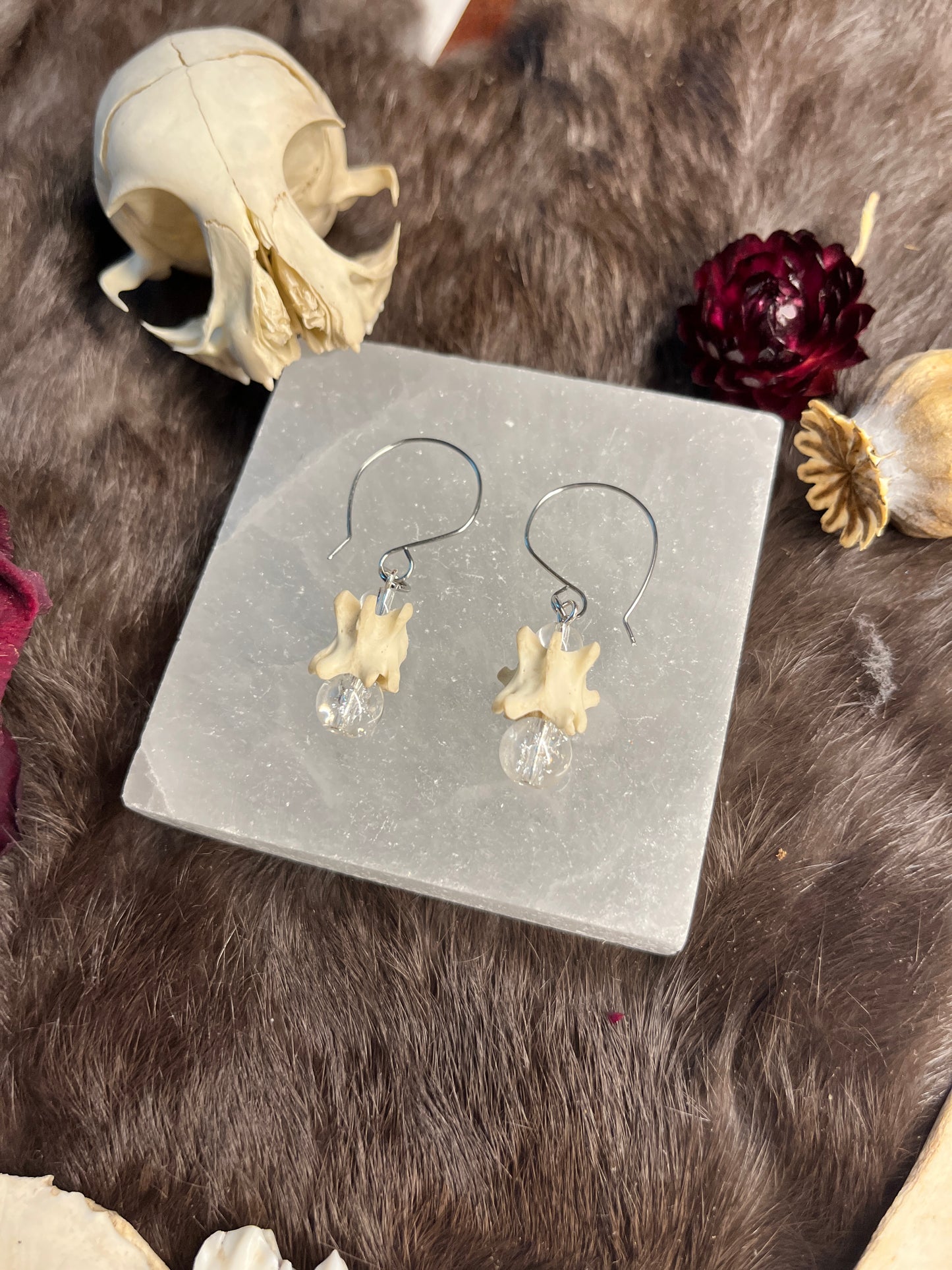 Crystalline Cat Vertebra Earrings