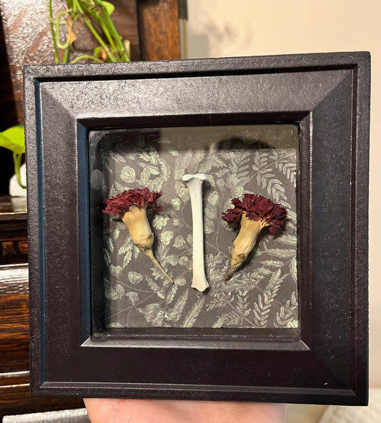 Bone & Carnation Display Frame